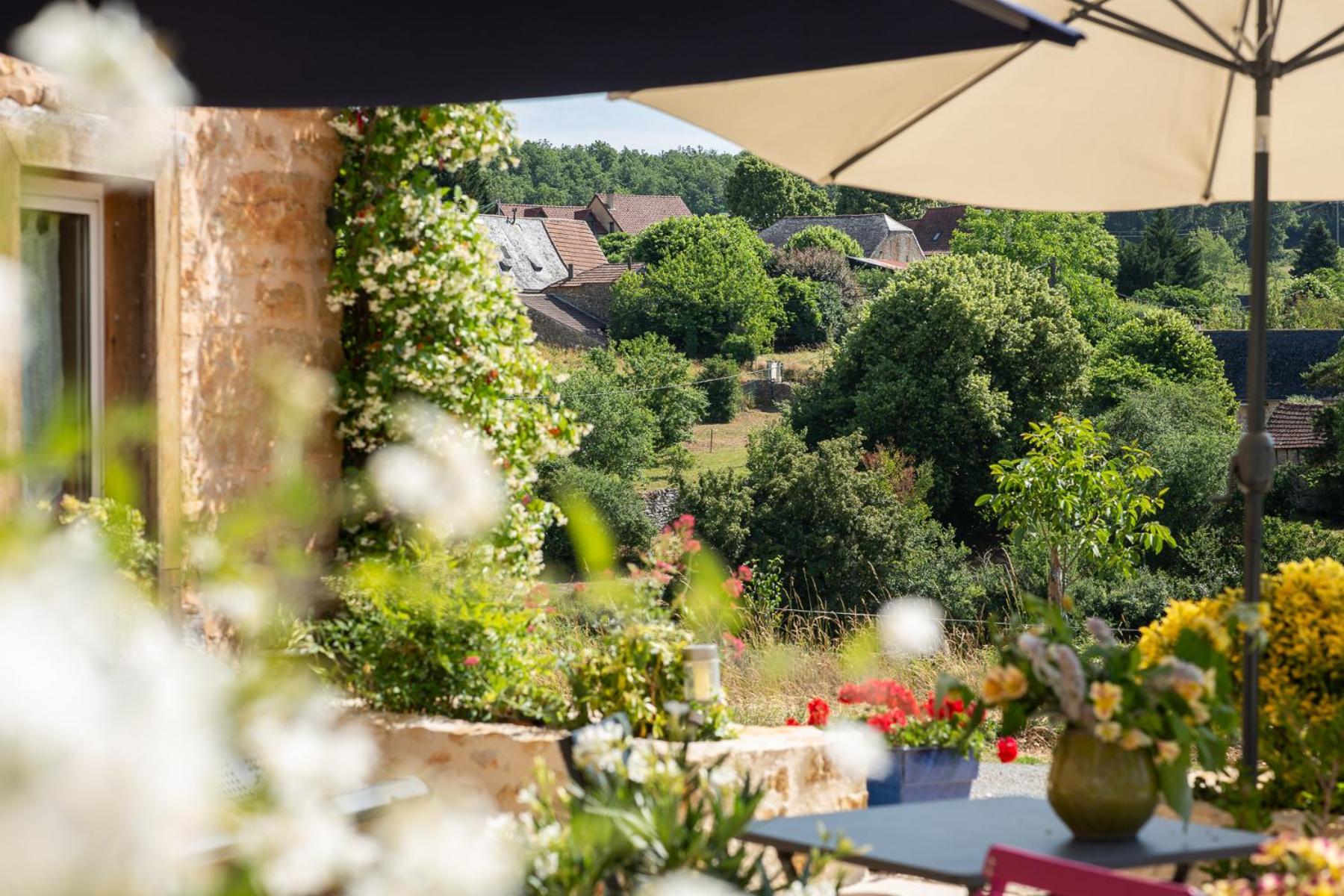 Maison D'Hotes La Maison De Leopold Terrasson エクステリア 写真