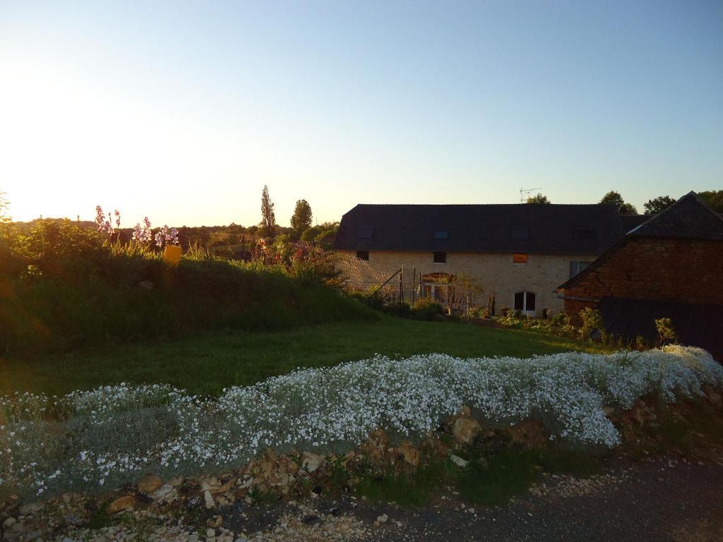 Maison D'Hotes La Maison De Leopold Terrasson エクステリア 写真