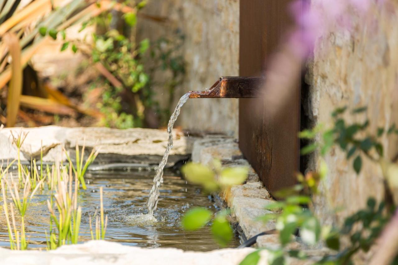 Maison D'Hotes La Maison De Leopold Terrasson エクステリア 写真